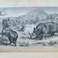 1868 NILE TRIBUTARIES OF ABYSSINIA SWORD HUNTERS of HAMRAN ARABS ILLUSTR antique