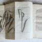1801 SILVA: DISCOURSE OF FOREST TREES 2 VOLUMES ILLUSTRATED antique in ENGLISH