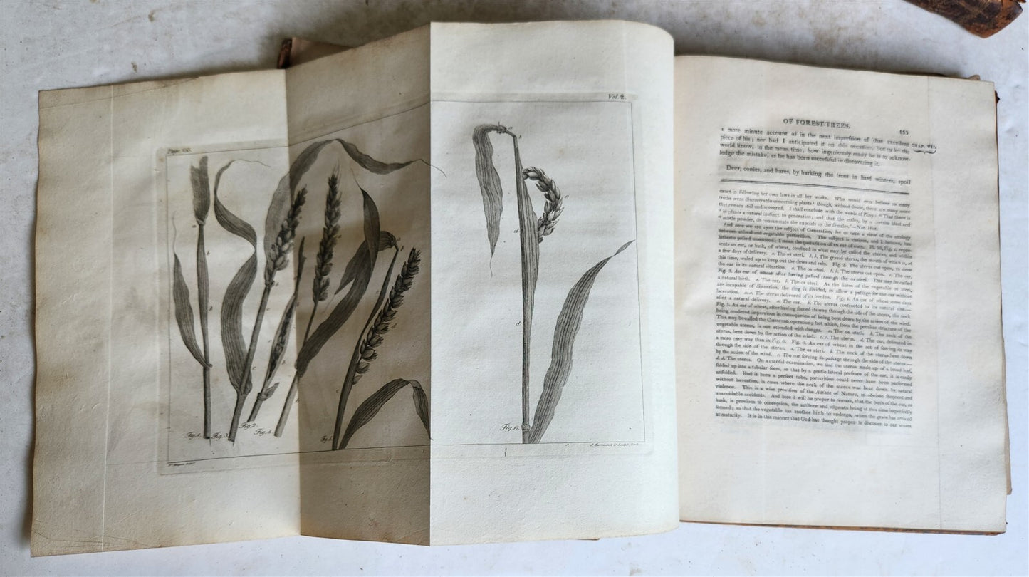 1801 SILVA: DISCOURSE OF FOREST TREES 2 VOLUMES ILLUSTRATED antique in ENGLISH