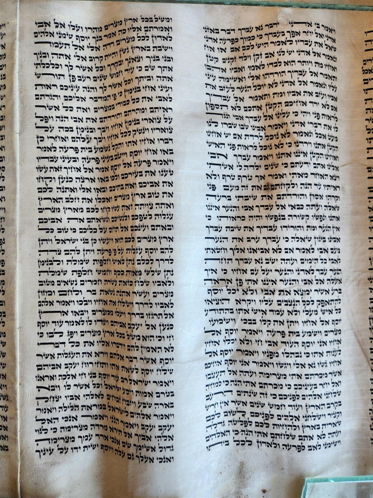 TORAH SCROLL FRAGMENT MANUSCRIPT on VELLUM antique BIBLE DEUTERONOMY 11:4-13:12