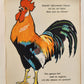 1960s ILLUSTRATED CHILDREN BOOK vintage NEUE TIER-BILDER by P.LEUTERITZ