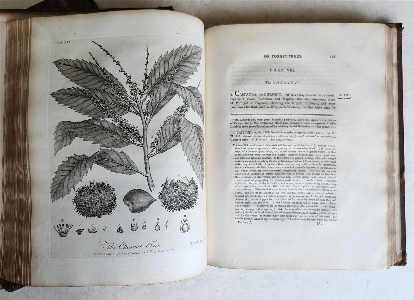 1801 SILVA: DISCOURSE OF FOREST TREES 2 VOLUMES ILLUSTRATED antique in ENGLISH