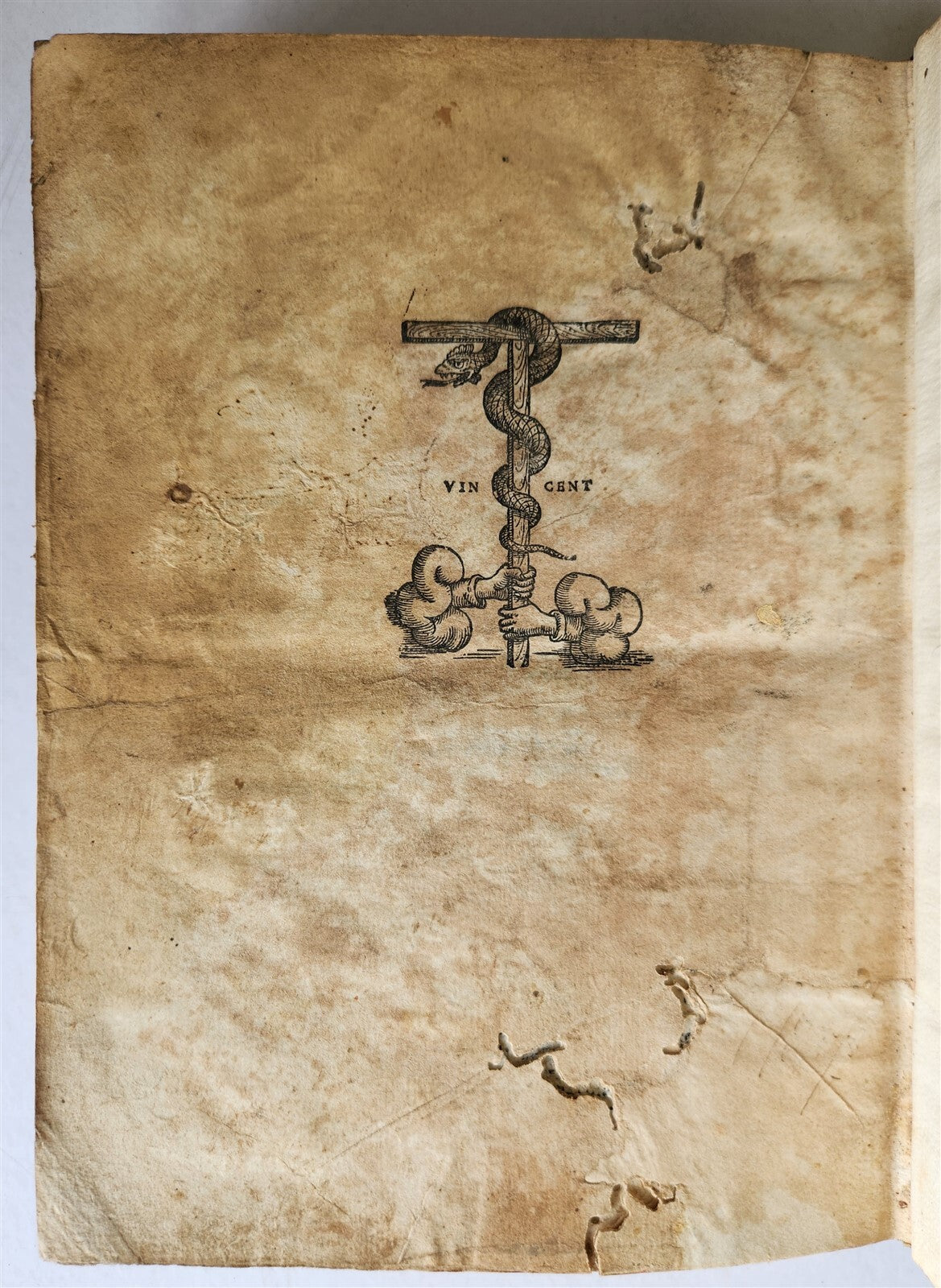 1558 TERENCE in ITALIAN antique 16th CENTURY vellum