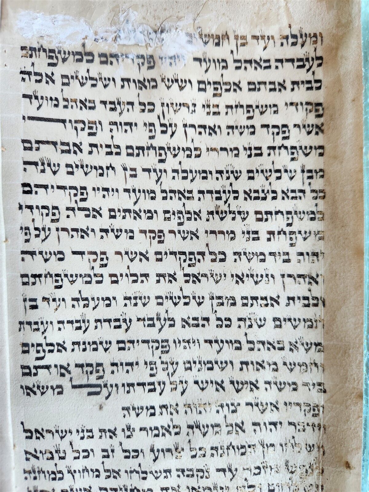 TORAH SCROLL FRAGMENT MANUSCRIPT on VELLUM antique BIBLE NUMBERS 4:39-15:16