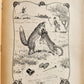1900s ILLUSTRATED GERMAN CHILDREN BOOK antique FAIRYTALE LAND OF ANIMALS