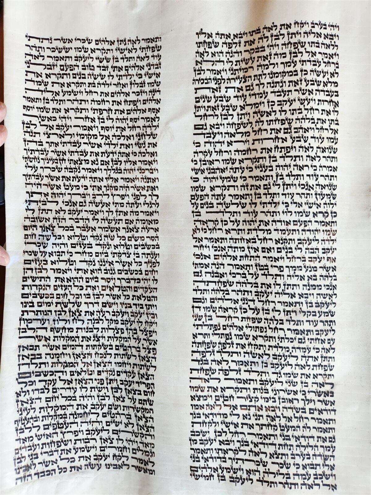 TORAH SCROLL FRAGMENT MANUSCRIPT on VELLUM antique BIBLE GENESIS 24:64 - 31:1