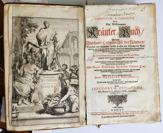 1696 THEATRUM BOTANICUM by Theodor ZWINGER antique ILLUSTRATED FOLIO in GERMAN