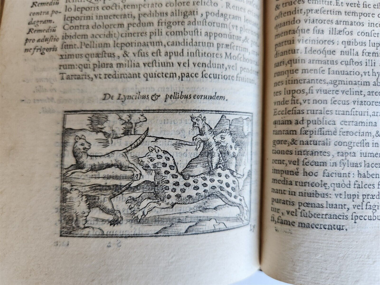 1558 ILLUSTRATED SCANDINAVIA antique Historia de Gentibus Septentrionalibus RARE