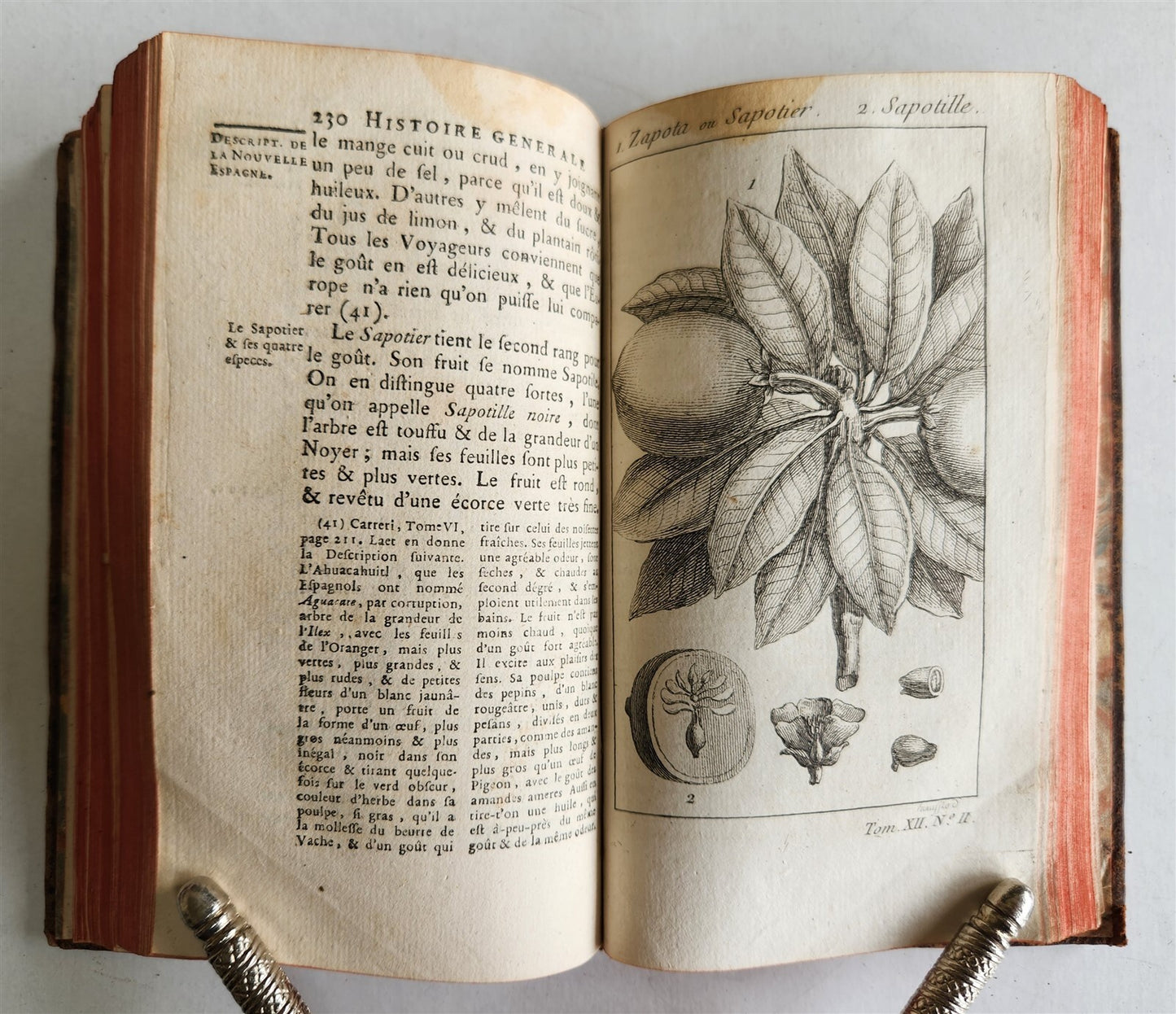 1754 HISTOIRE des VOYAGES illustrated MEXICO TRAVELS vol. 48 antique