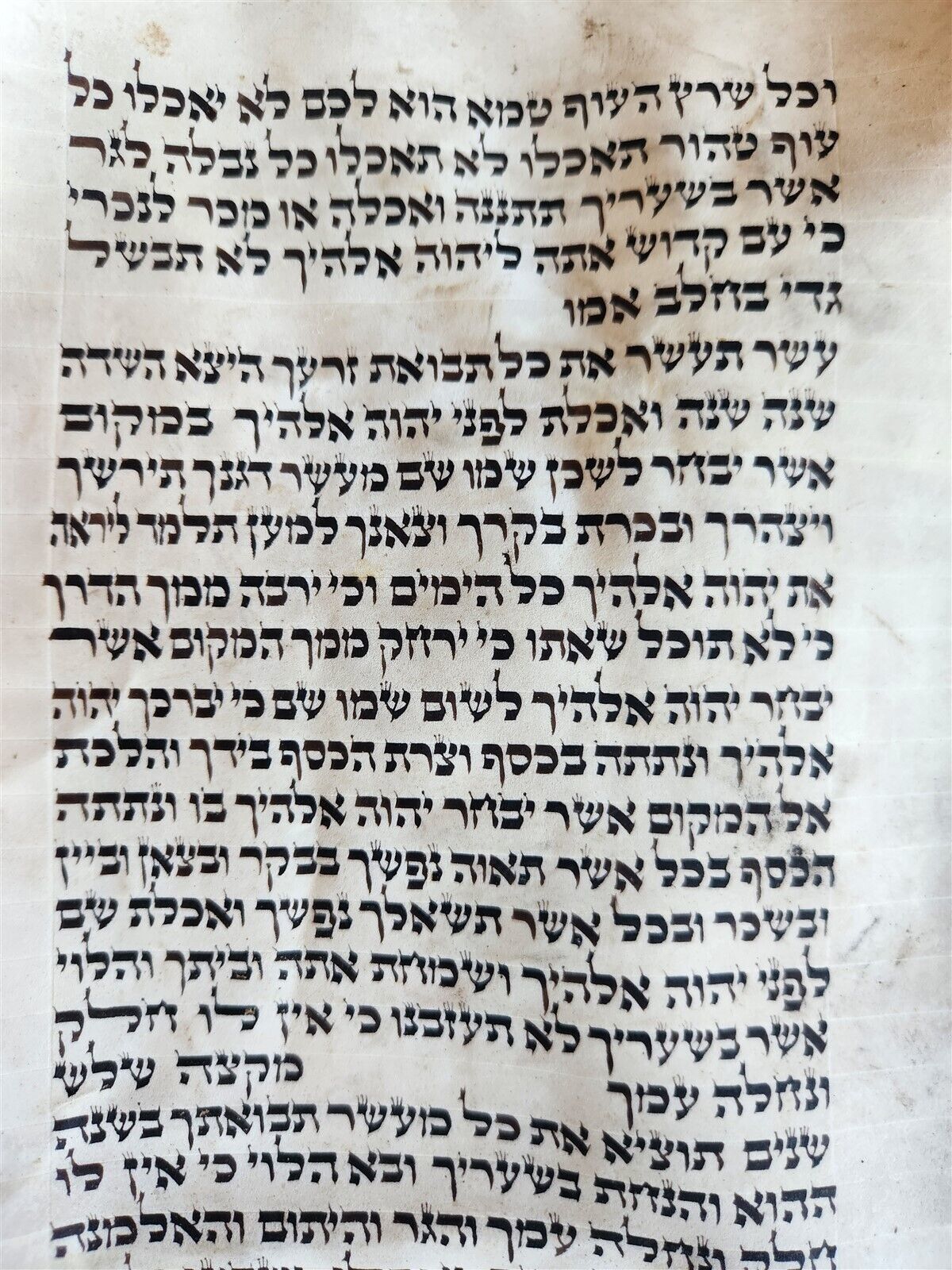 TORAH SCROLL FRAGMENT MANUSCRIPT on VELLUM antique BIBLE DEUTERONOMY 12:9-15:9