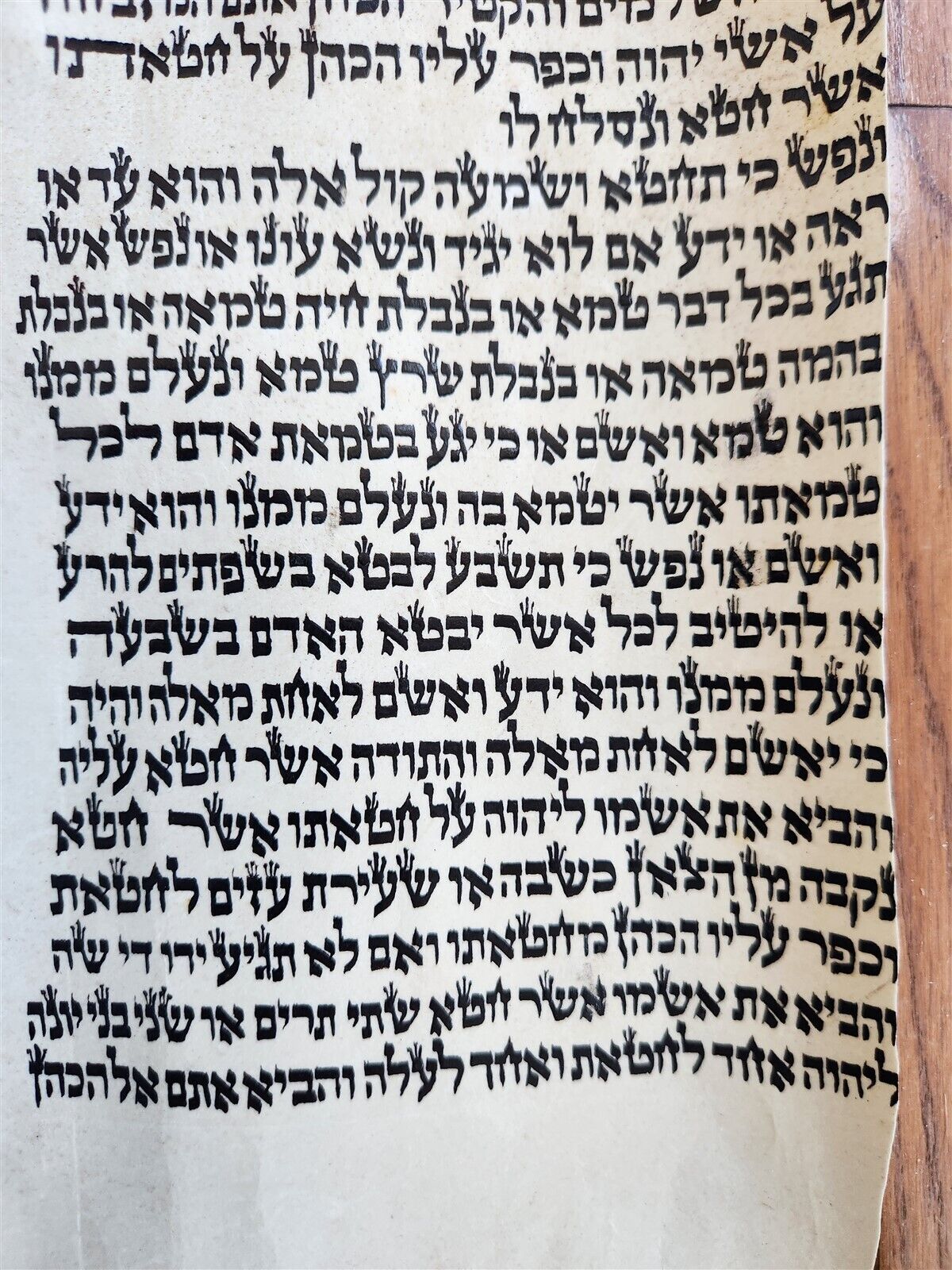 TORAH SCROLL FRAGMENT MANUSCRIPT on VELLUM antique BIBLE LEVITICUS 4:23 - 6:2