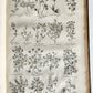1756 BRITISH HERBAL J.HILL antique ILLUSTRATED FOLIO HISTORY OF PLANTS & TREES