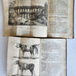 1803-04 EXTRAORDINARY in NATURE ART & HUMAN LIFE 2 VOLUMES antique ILLUSTRATED