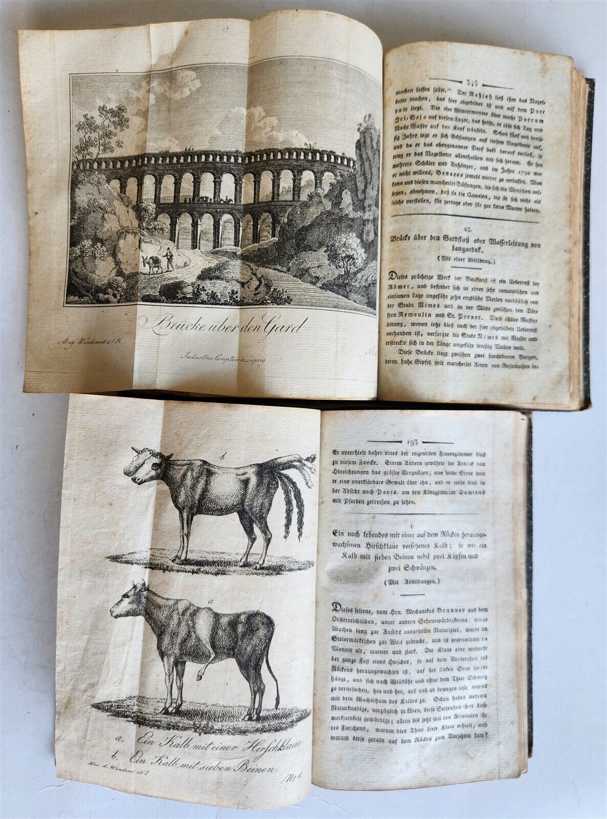 1803-04 EXTRAORDINARY in NATURE ART & HUMAN LIFE 2 VOLUMES antique ILLUSTRATED