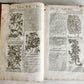 1710 BOTANOLOGIA ENGLISH HERBAL antique ILLUSTRATED MASSIVE FOLIO