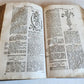 1744 THEATRUM BOTANICUM ILLUSTRATED GERMAN HERBAL antique PIGSKIN BOUND FOLIO