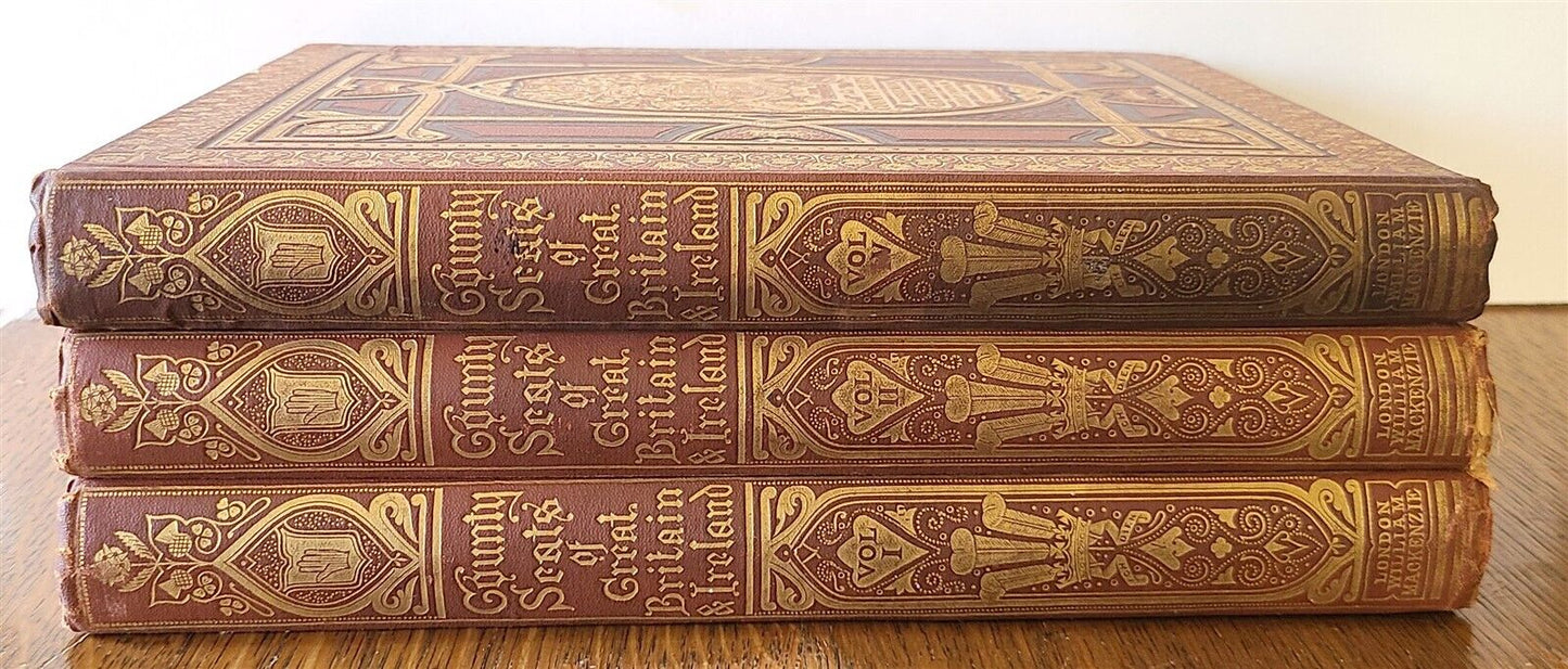 1880 SERIES of PICTURESQUE VIEWS of Great Britain & Ireland 3 VOLUMES antique