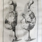 1753 SURGERY ANATOMY ILLUSTRATED antique Memoires l'Academie Royale de Chirurgie