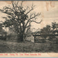 DARBY PA THE BLUNSTON OAK ANTIQUE POSTCARD