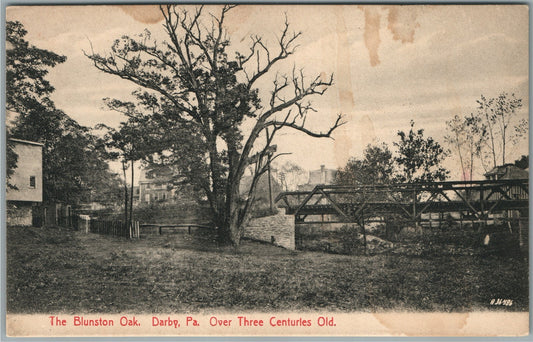 DARBY PA THE BLUNSTON OAK ANTIQUE POSTCARD