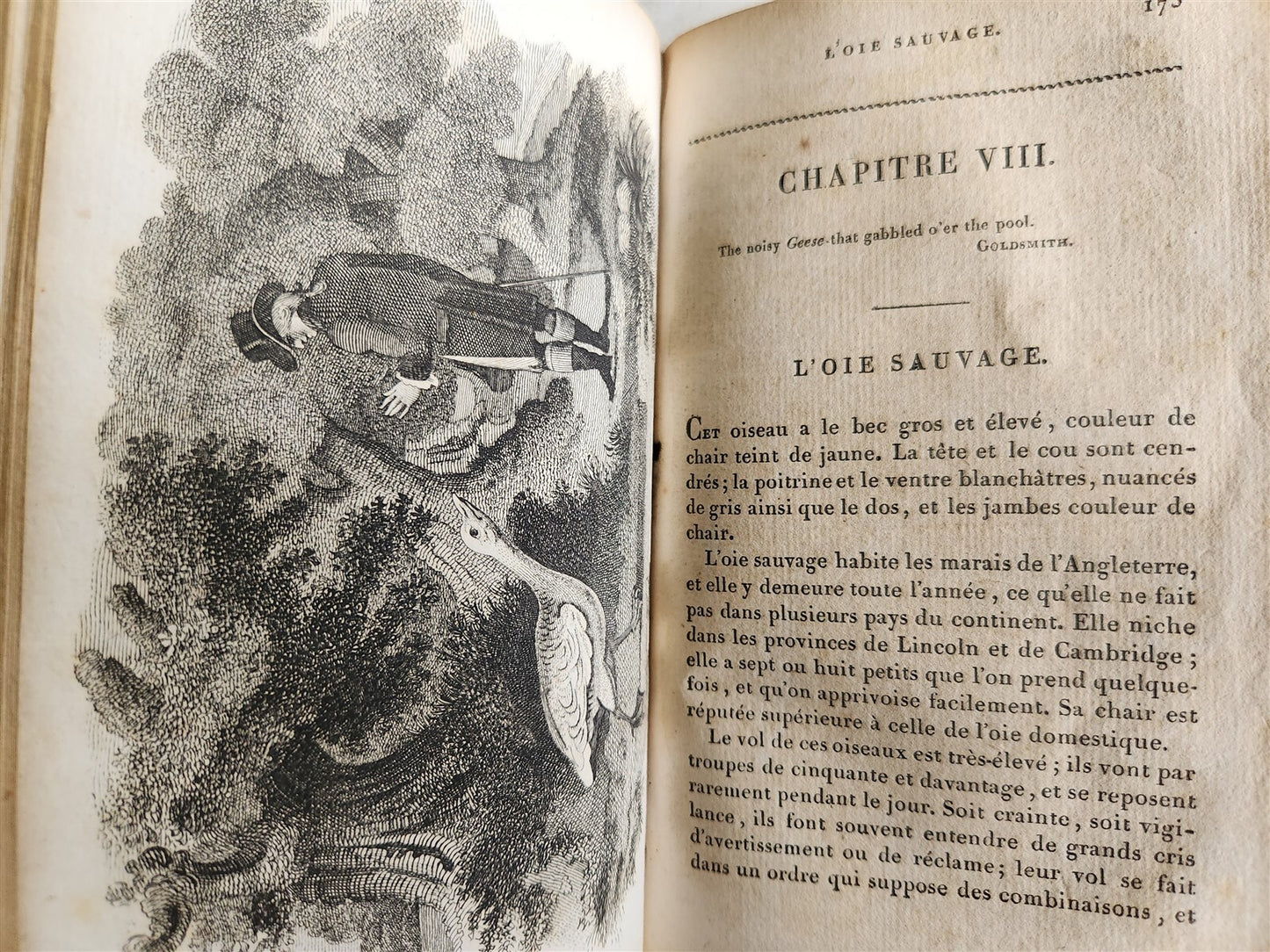 1818 HISTORY of ANIMALS ILLUSTRATED w/ 65 PLATES antique 6 VOLUMES