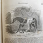 1843 THE HORSE by WILLIAM YOUATT antique ILLUSTRATED