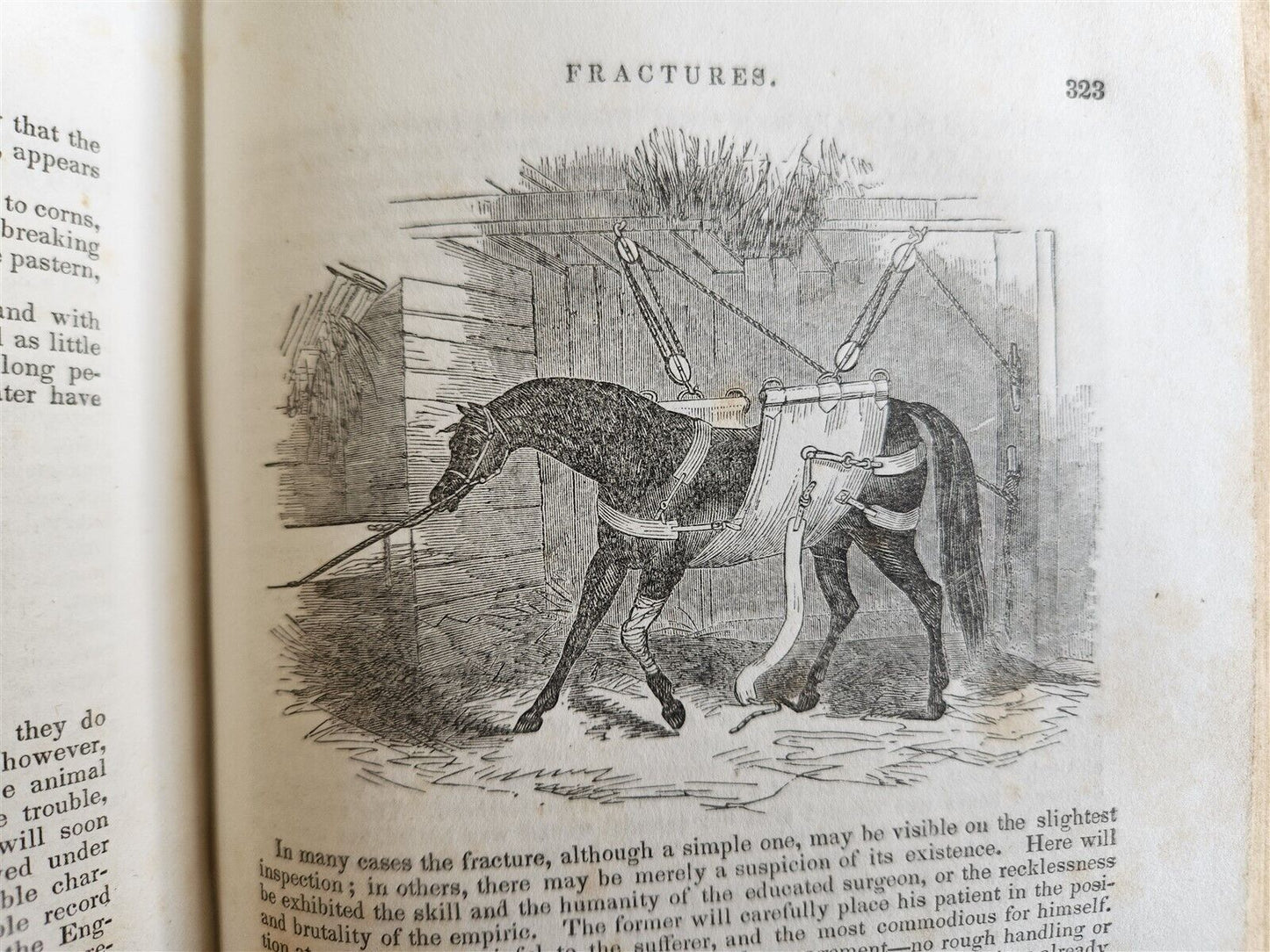 1843 THE HORSE by WILLIAM YOUATT antique ILLUSTRATED