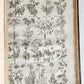 1756 BRITISH HERBAL J.HILL antique ILLUSTRATED FOLIO HISTORY OF PLANTS & TREES