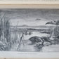 1861 EXPLORATIONS ADVENTURES in EQUATORIAL AFRICA by Chaillu illustrated antique