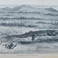 1868 NILE TRIBUTARIES OF ABYSSINIA SWORD HUNTERS of HAMRAN ARABS ILLUSTR antique