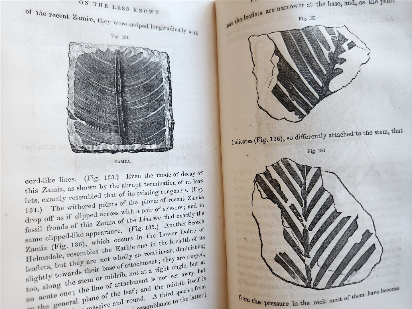 1860 TESTIMONY of the ROCKS or GEOLOGY IN ITS BEARINGS by HUGH MILLER antique