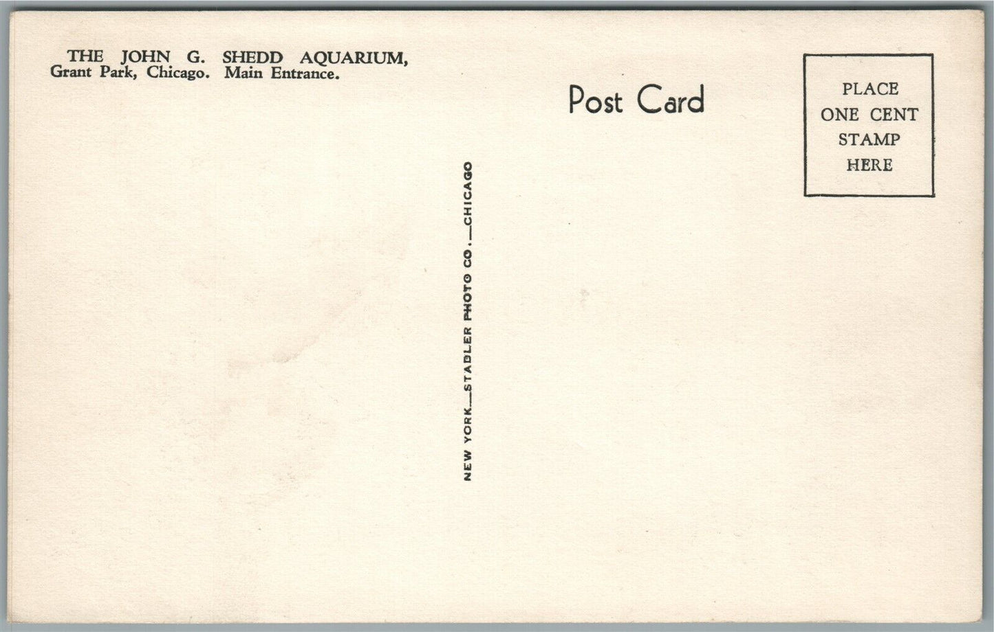 GRANT PARK CHICAGO IL JOHN SHEDD AQUARIUM VINTAGE REAL PHOTO POSTCARD RPPC