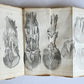 1792 HORSE ANATOMY VETERINARY TREATISE ILLUSTRATED w/ 9 WOODCUTS antique