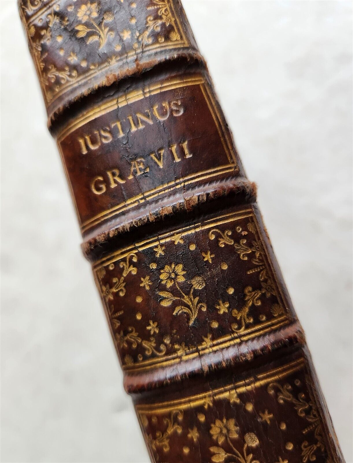 1683 HISTORIAE PHILIPPICAE by JUSTINIUS DECORATIVE BINDING antique