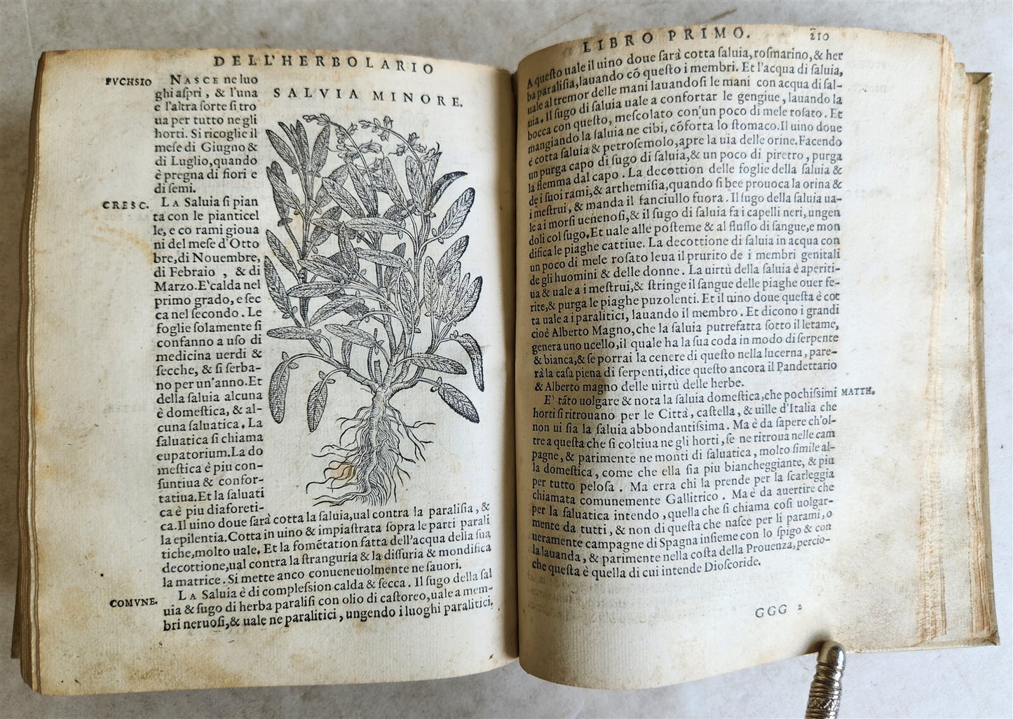 1561 PHARMACOPEIA ILLUSTRATED MEDICAL PLANTS by SANSOVINO antique 16th CENTURY