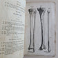 1822 ENGRAVINGS OF THE HUMAN BONES by WILLIAM CHESELDEN ILLUSTRATED antique