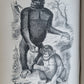 1861 EXPLORATIONS ADVENTURES in EQUATORIAL AFRICA by Chaillu illustrated antique