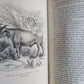 1861 EXPLORATIONS ADVENTURES in EQUATORIAL AFRICA by Chaillu illustrated antique