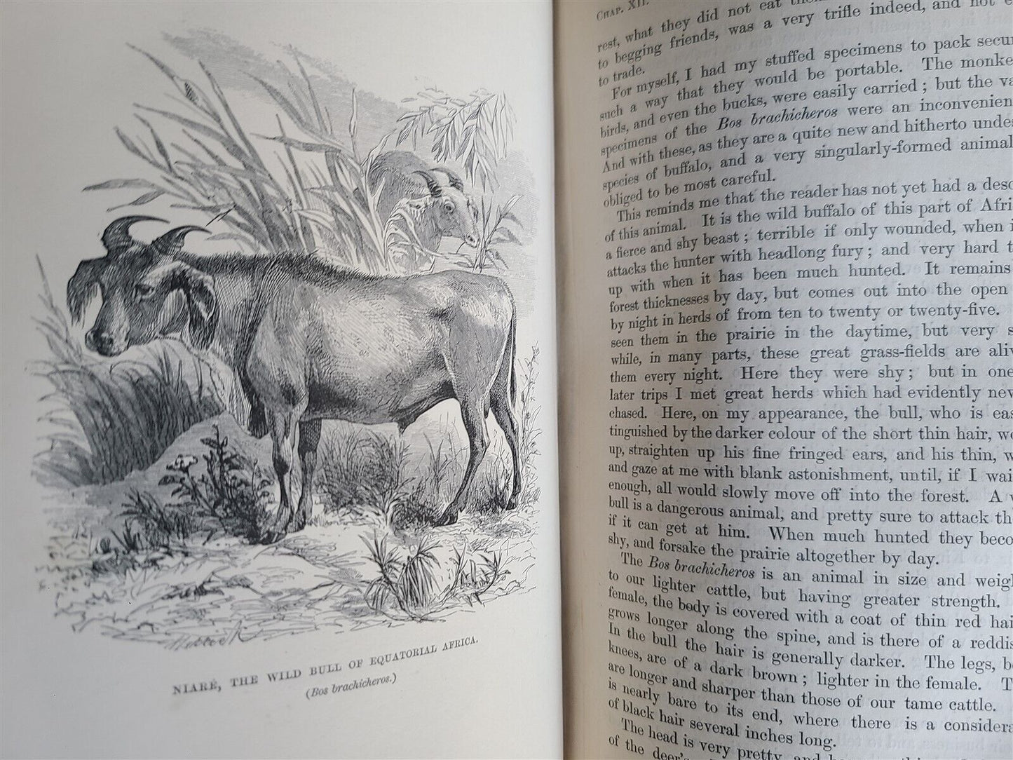 1861 EXPLORATIONS ADVENTURES in EQUATORIAL AFRICA by Chaillu illustrated antique