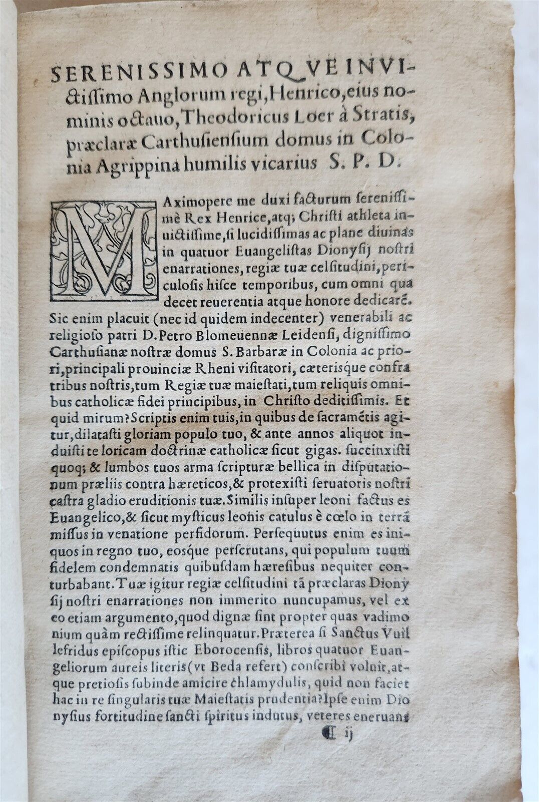 1545 BIBLE COMMENTARY by DIONYSII CARTHUSIANI antique 16th CENTURY vellum