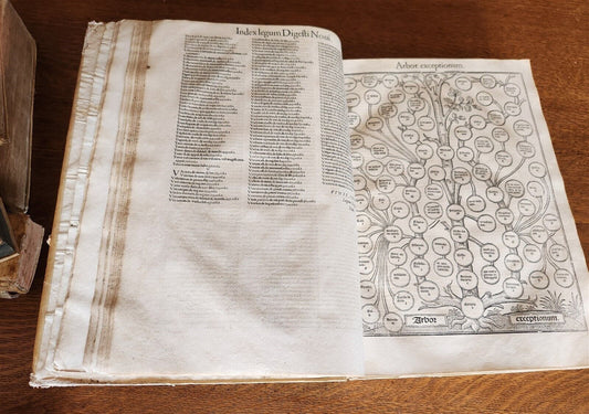 1556 LAW BOOK Corpus Juris Civilis DIGESTUM NOVUM antique MASSIVE FOLIO vellum