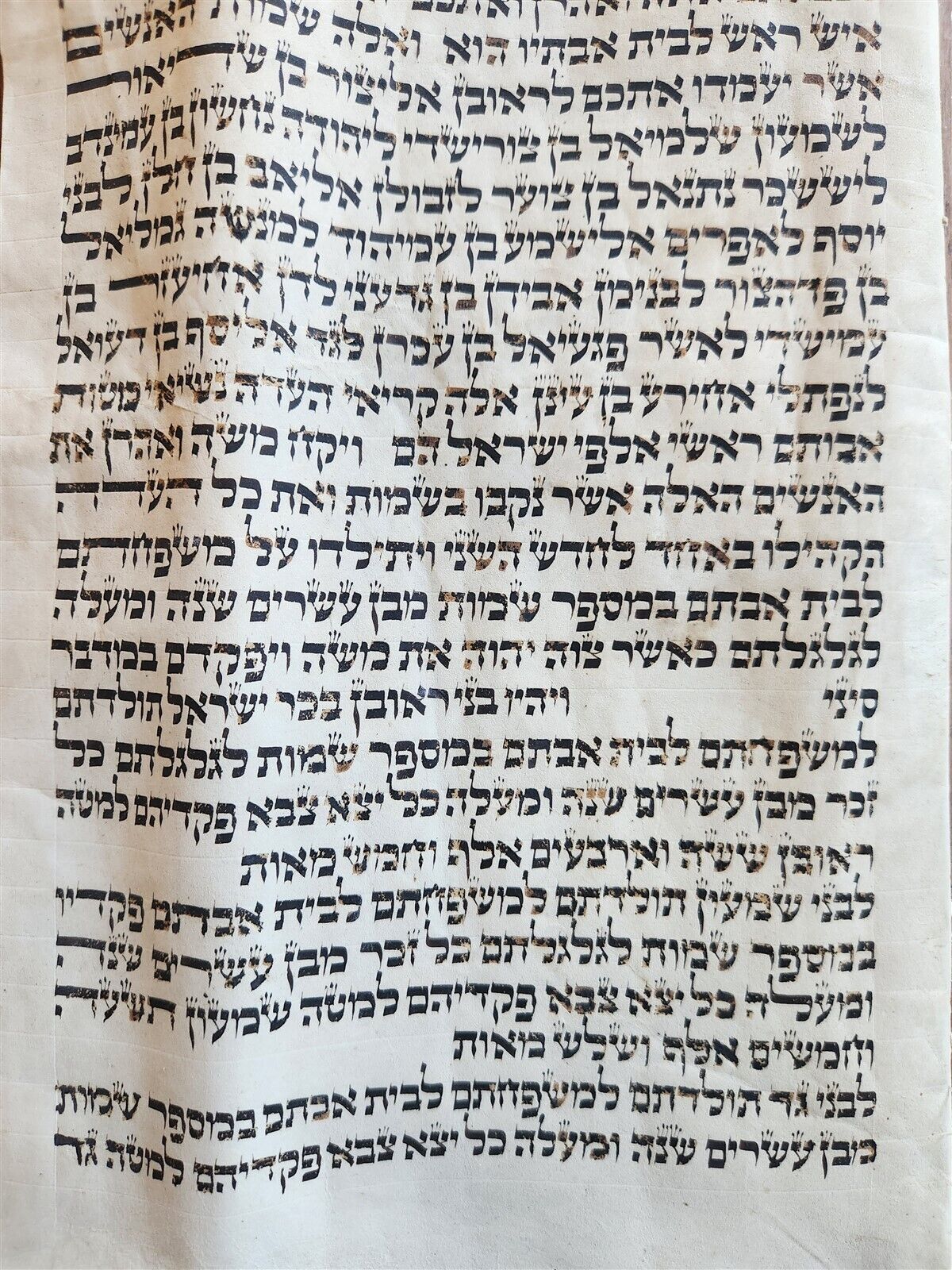 TORAH SCROLL FRAGMENT MANUSCRIPT on VELLUM antique BIBLE LEVITICUS 27:28