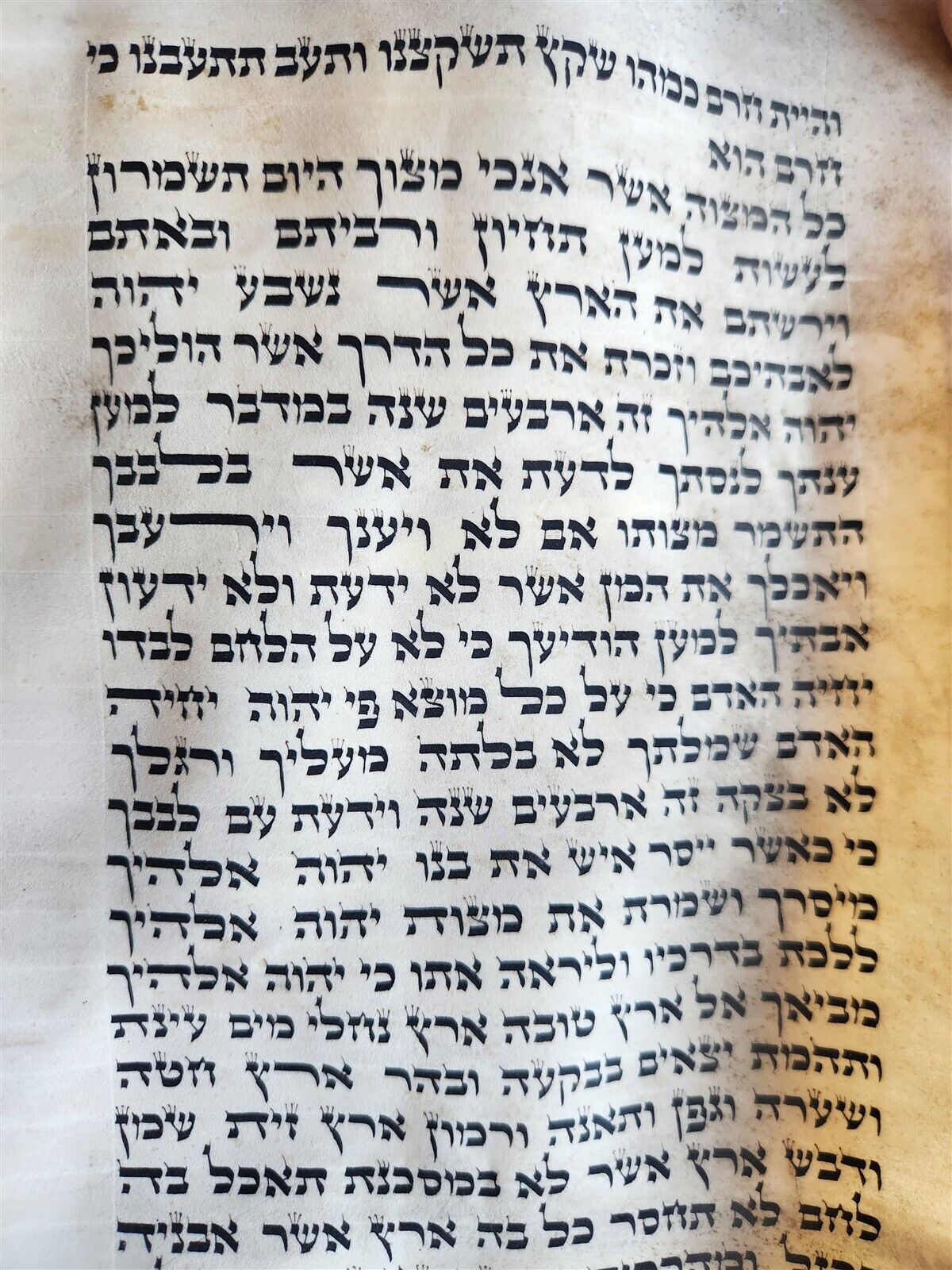 TORAH SCROLL FRAGMENT MANUSCRIPT on VELLUM antique BIBLE DEUTERONOMY 7:27-11:13