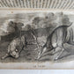 1818 HISTORY of ANIMALS ILLUSTRATED w/ 65 PLATES antique 6 VOLUMES