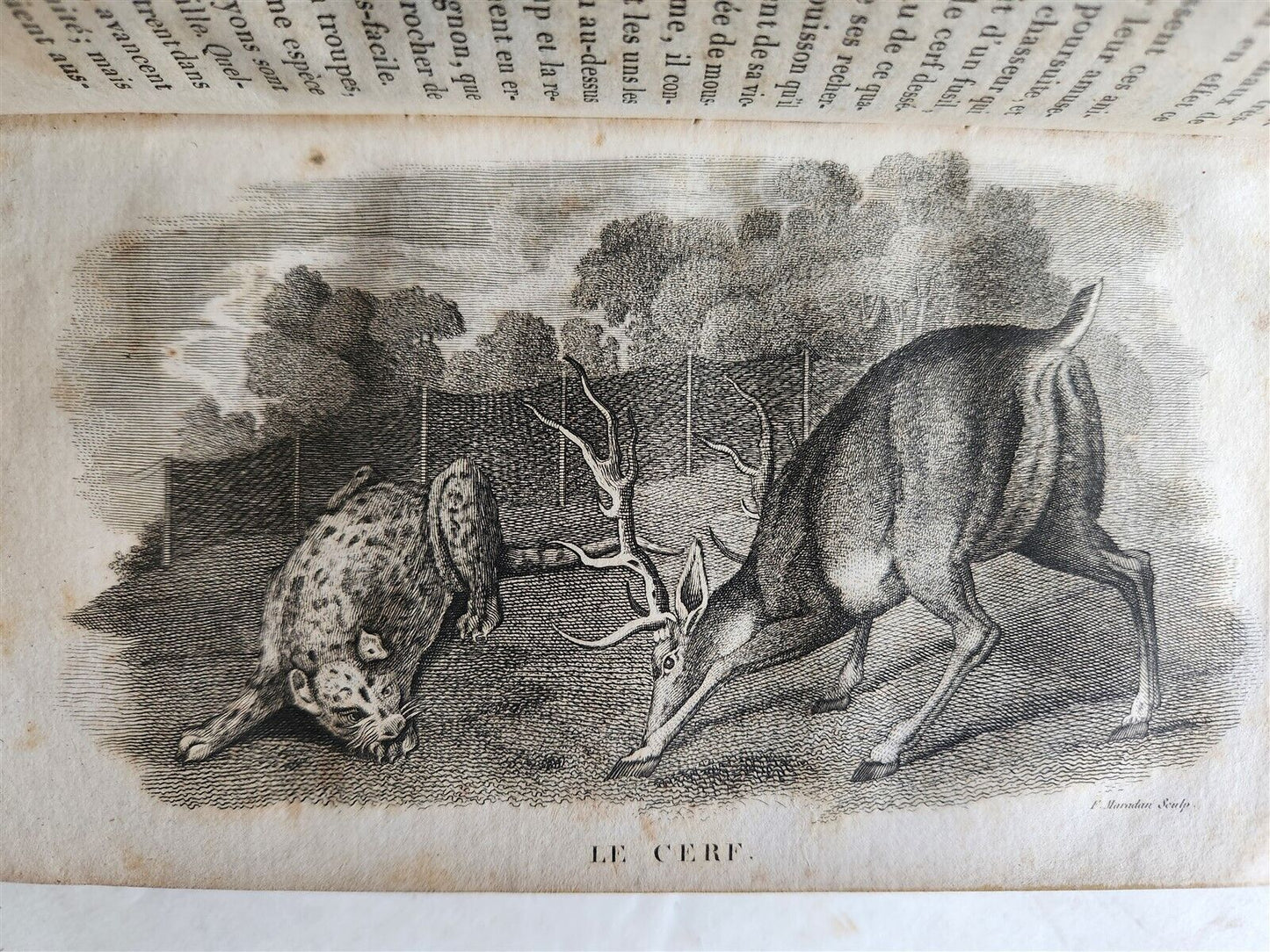 1818 HISTORY of ANIMALS ILLUSTRATED w/ 65 PLATES antique 6 VOLUMES