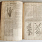 1710 BOTANOLOGIA ENGLISH HERBAL antique ILLUSTRATED MASSIVE FOLIO