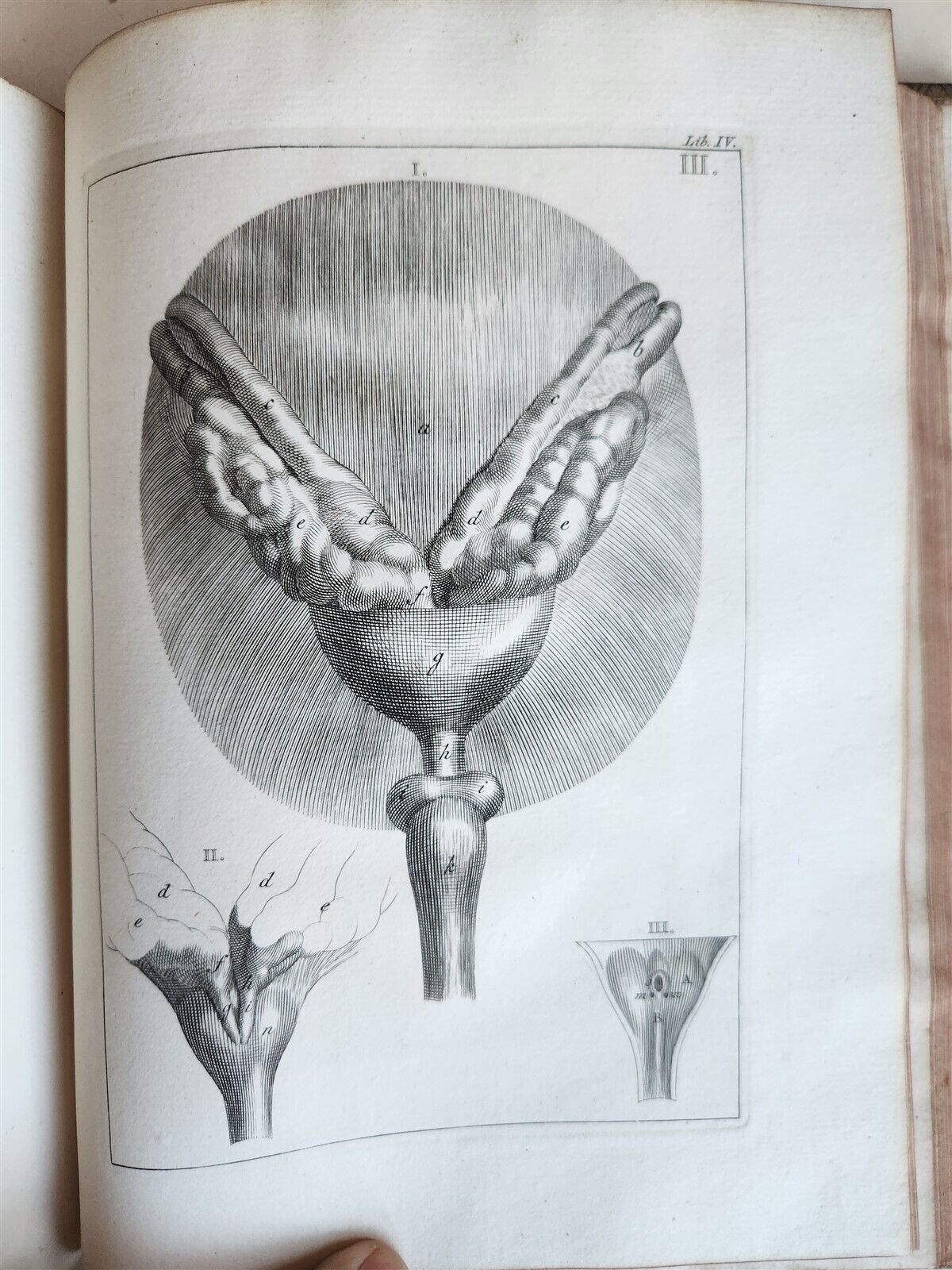 1754 ANATOMY DENTISTRY BOTANY antique ILLUSTRATED Continet anatomica physiology