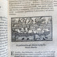 1558 ILLUSTRATED SCANDINAVIA antique Historia de Gentibus Septentrionalibus RARE