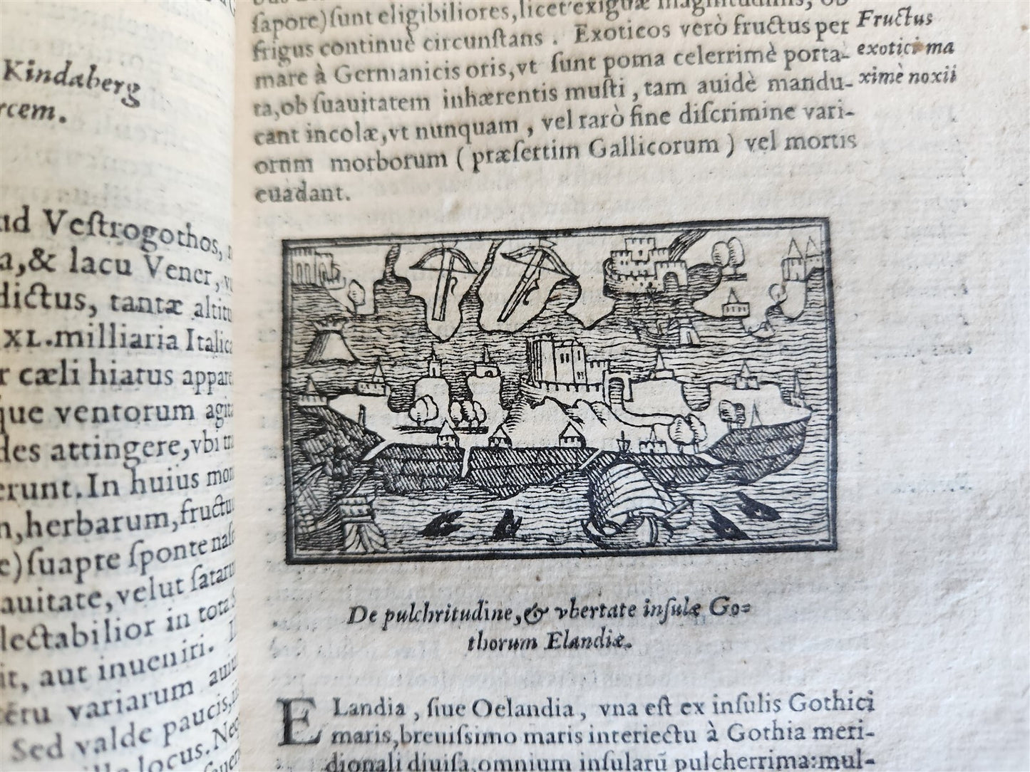 1558 ILLUSTRATED SCANDINAVIA antique Historia de Gentibus Septentrionalibus RARE