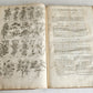 1756 BRITISH HERBAL J.HILL antique ILLUSTRATED FOLIO HISTORY OF PLANTS & TREES